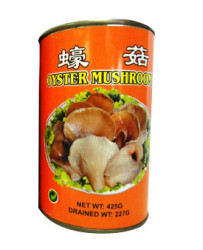 CHAMPIGNON D'HUITRE NATURE 