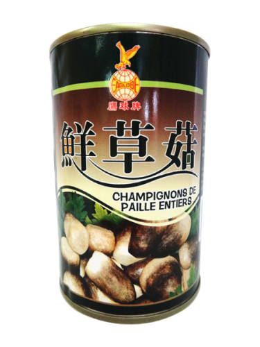 CHAMPIGNON DE PAILLE ENTIERS 